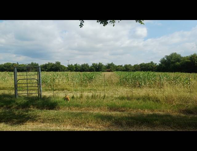 249.90HA FARM FOR SALE IN WATERVAL S H